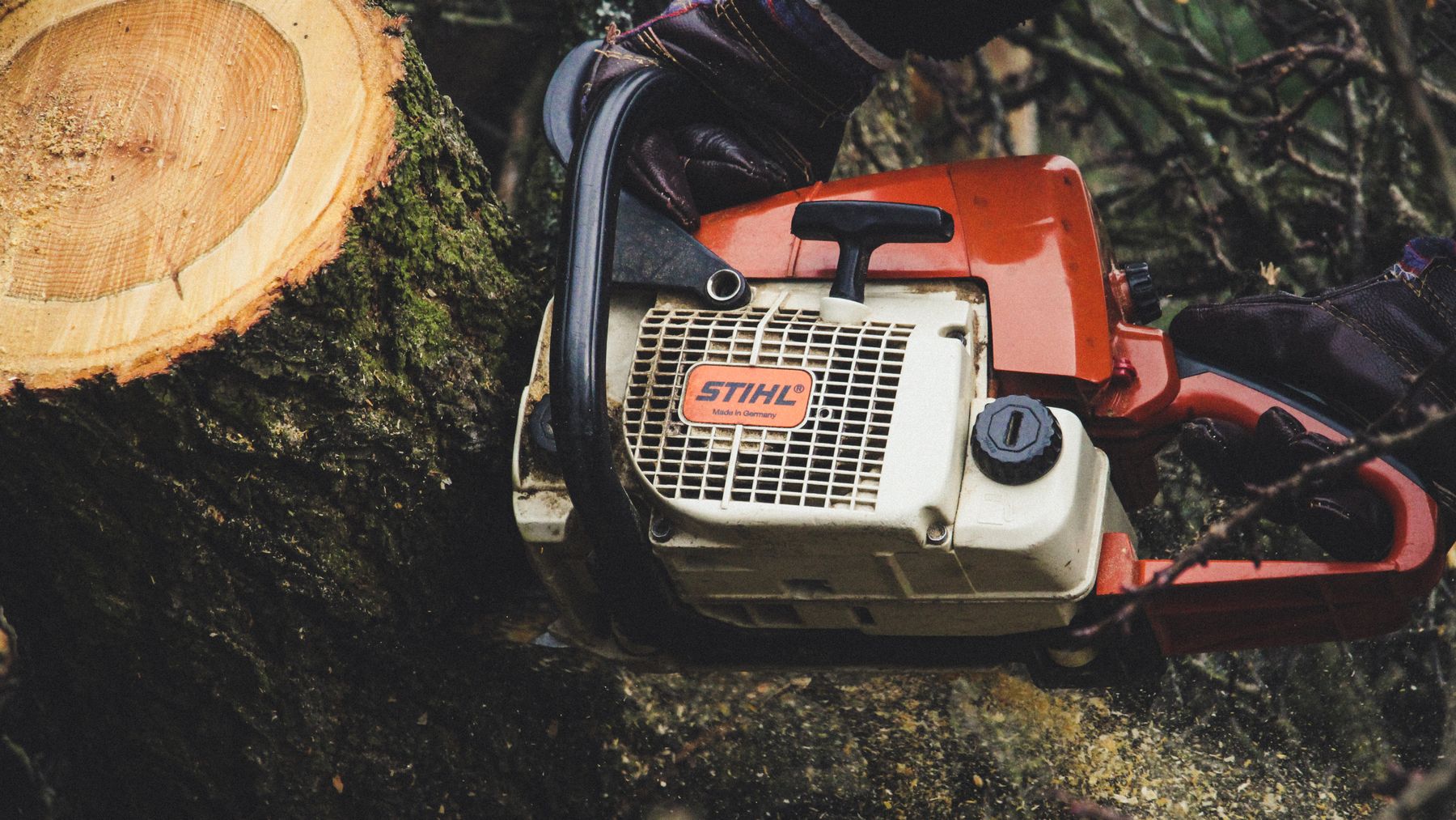 Worker cutting a moss-covered log with a chainsaw outdoors